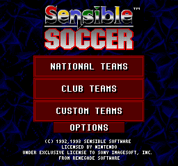 Championship Soccer '94 screenshot 4 for Super Nintendo
